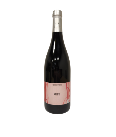 Racine - Rouge -Vignoble...